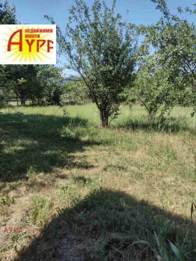 ������� ���� | Imot.bg � ����� ������ 8