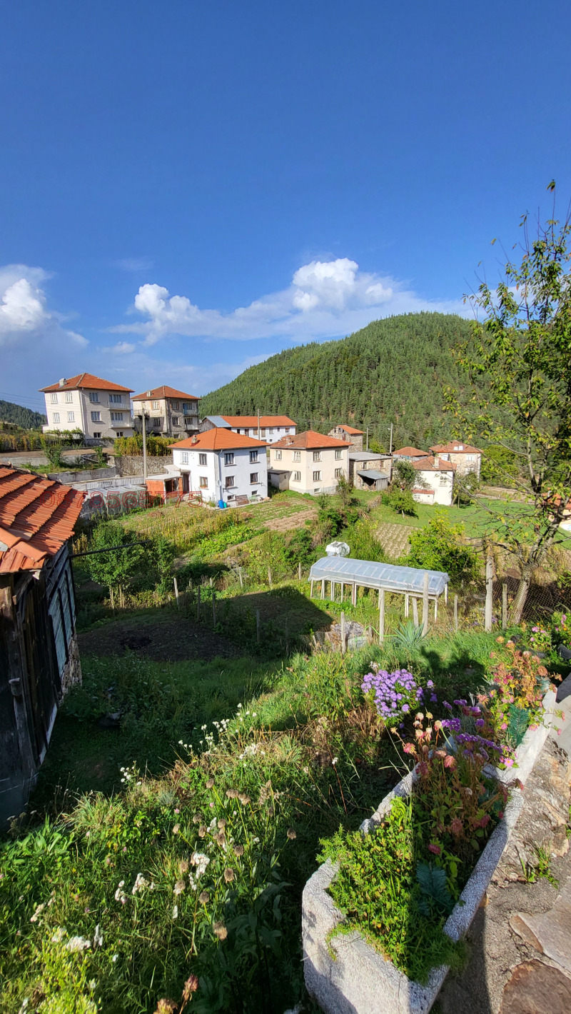 Til salg  Hus region Smolyan , Sivino , 180 kvm | 12364624 - billede [14]