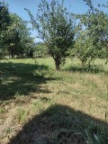 Продава КЪЩА, с. Горно Пещене, област Враца, снимка 8