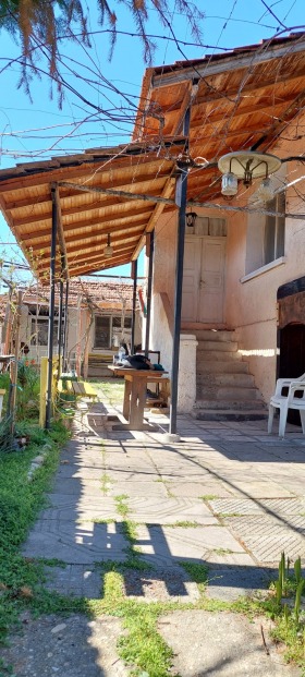 Hus Vinogradets, region Pazardzhik 3