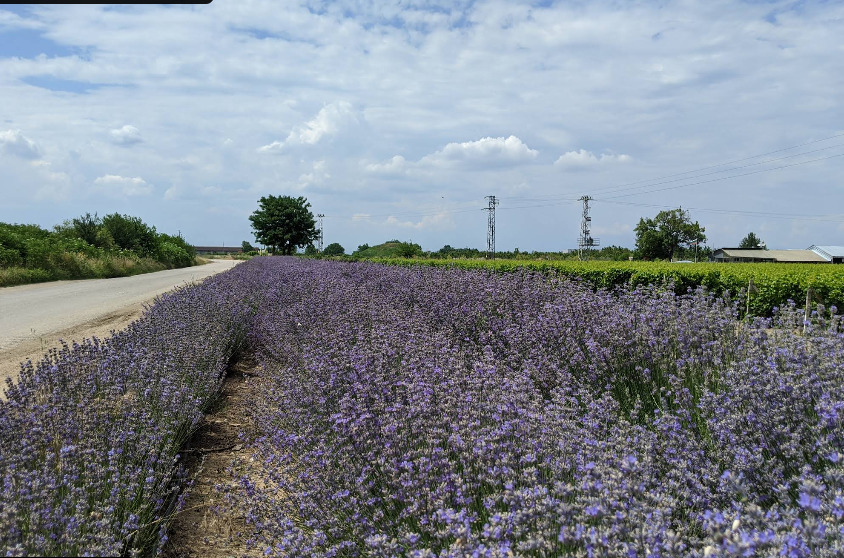 ������� ������ | Imot.bg � ����������� 1