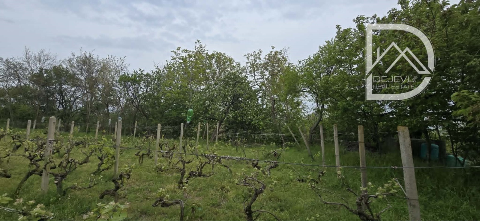 ������� ������ | Imot.bg � ����������� 5