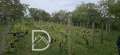 Продава ПАРЦЕЛ, гр. Варна, м-т Ментешето, снимка 4