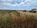Продава ПАРЦЕЛ, с. Кичево, област Варна, снимка 5