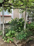 Продава КЪЩА, град Враца, Самуил • 300000 € • 11910256 — Holmes.bg
