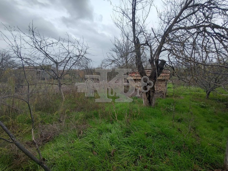 Продава КЪЩА, с. Полковник Иваново, област Добрич, снимка 14 - Къщи - 52342086