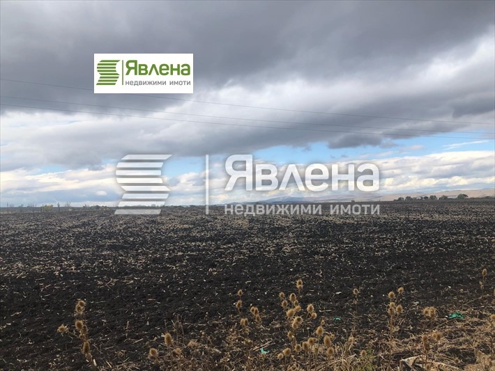 Te koop  Verhaallijn regio Sofia , Prolesja , 13000 m² | 31779998 - afbeelding [4]