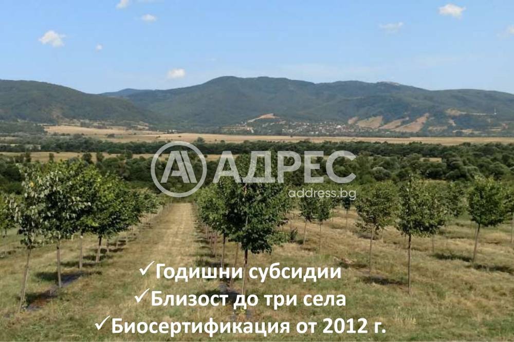 Продава ЗЕМЕДЕЛСКА ЗЕМЯ, с. Горно Камарци, област София област, снимка 3 - Земеделска земя - 55912609
