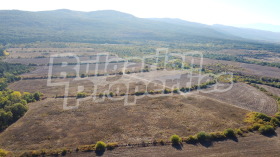 ������� ������ | Imot.bg � ����� ������ 3