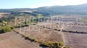 ������� ������ | Imot.bg � ����� ������ 6