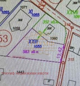 ����� ������� ������,���� �����, �-� �����������