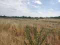 Продава ПАРЦЕЛ, гр. Стара Загора, Студентско градче, снимка 2