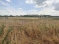 Продава ПАРЦЕЛ, гр. Стара Загора, Студентско градче, снимка 2