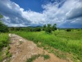 Продава ПАРЦЕЛ, област Ловеч, гр. Троян • 95000 € • 97243489 — Holmes.bg