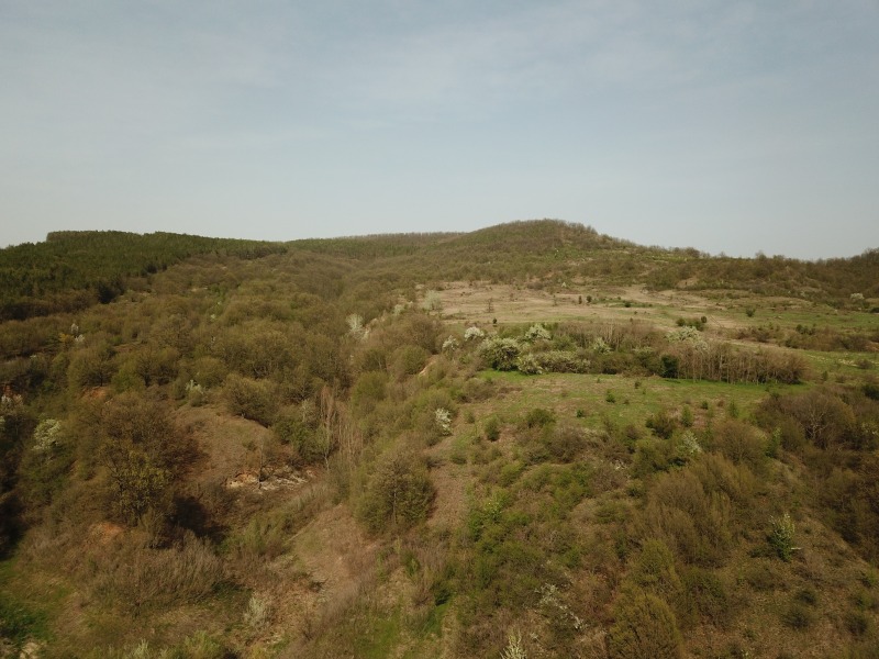 Te koop  Land regio Varna , Asparuchovo , 166 dka | 21559406 - afbeelding [2]