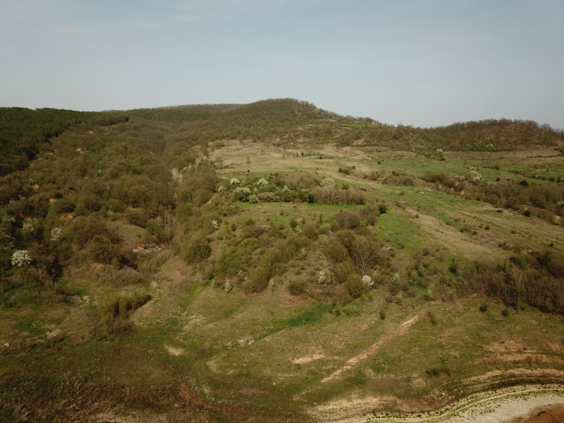 Προς πώληση  Γη περιοχή Βάρνα , Ασπαρυχοβο , 166 dka | 21559406 - εικόνα [3]