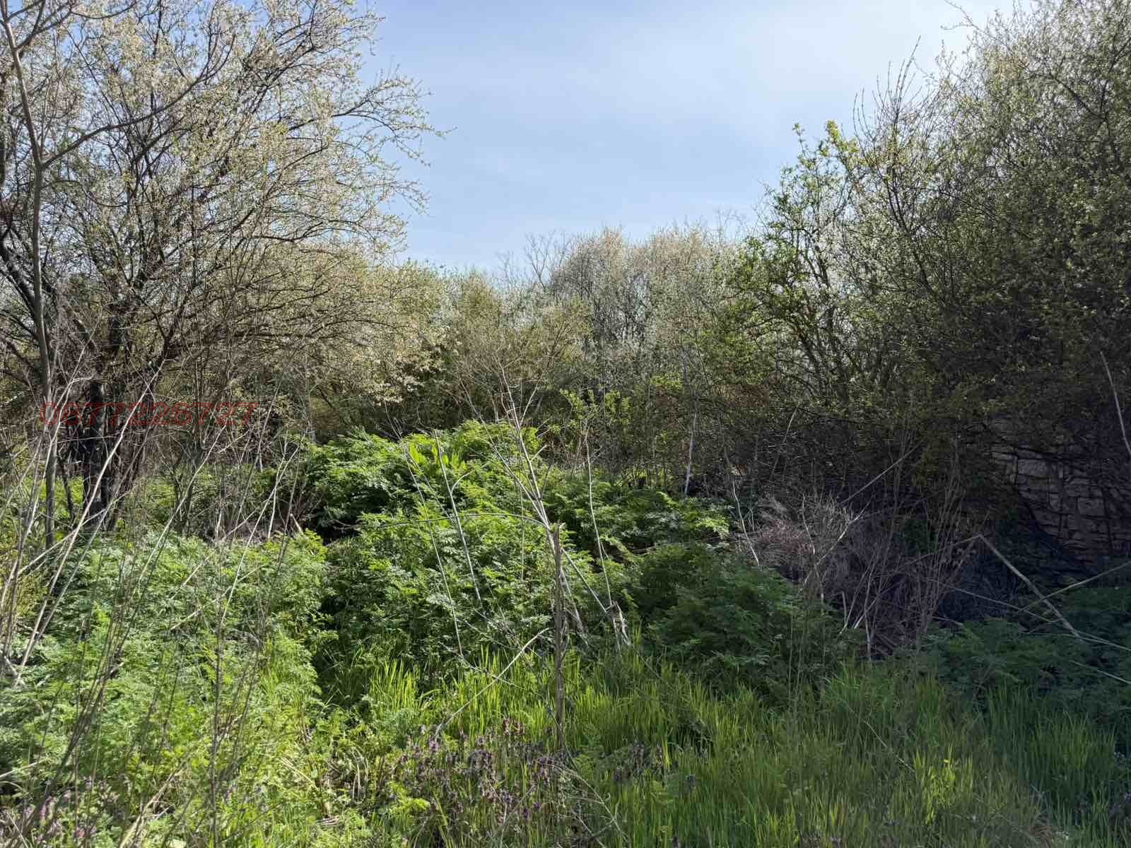 Продава ПАРЦЕЛ, с. Хаджи Димитър, област Добрич, снимка 6 - Парцели - 54198998