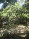 Продава  2-стаен град Пловдив , Западен , 49 кв.м | 60163778 - изображение [7]