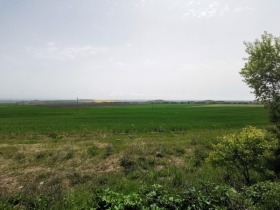 For Sale Plot