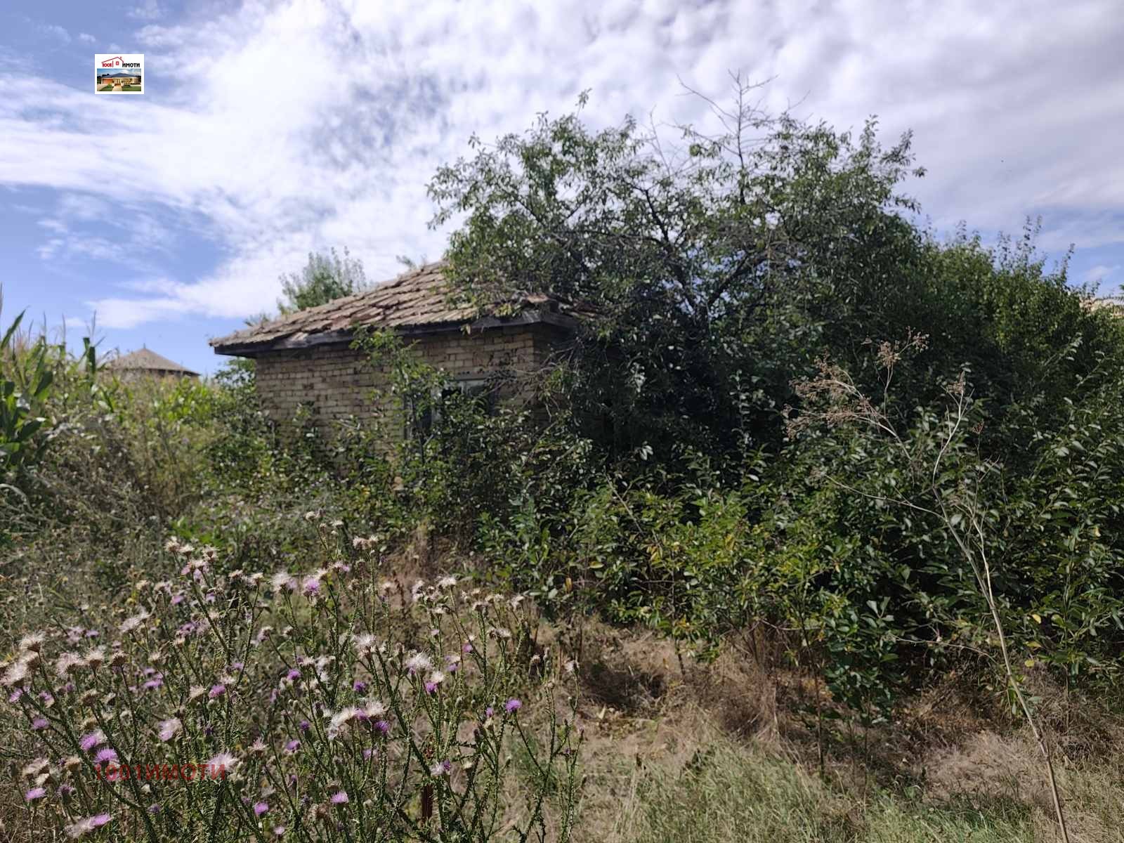 Продава КЪЩА, с. Бенковски, област Добрич, снимка 14 - Къщи - 49013302
