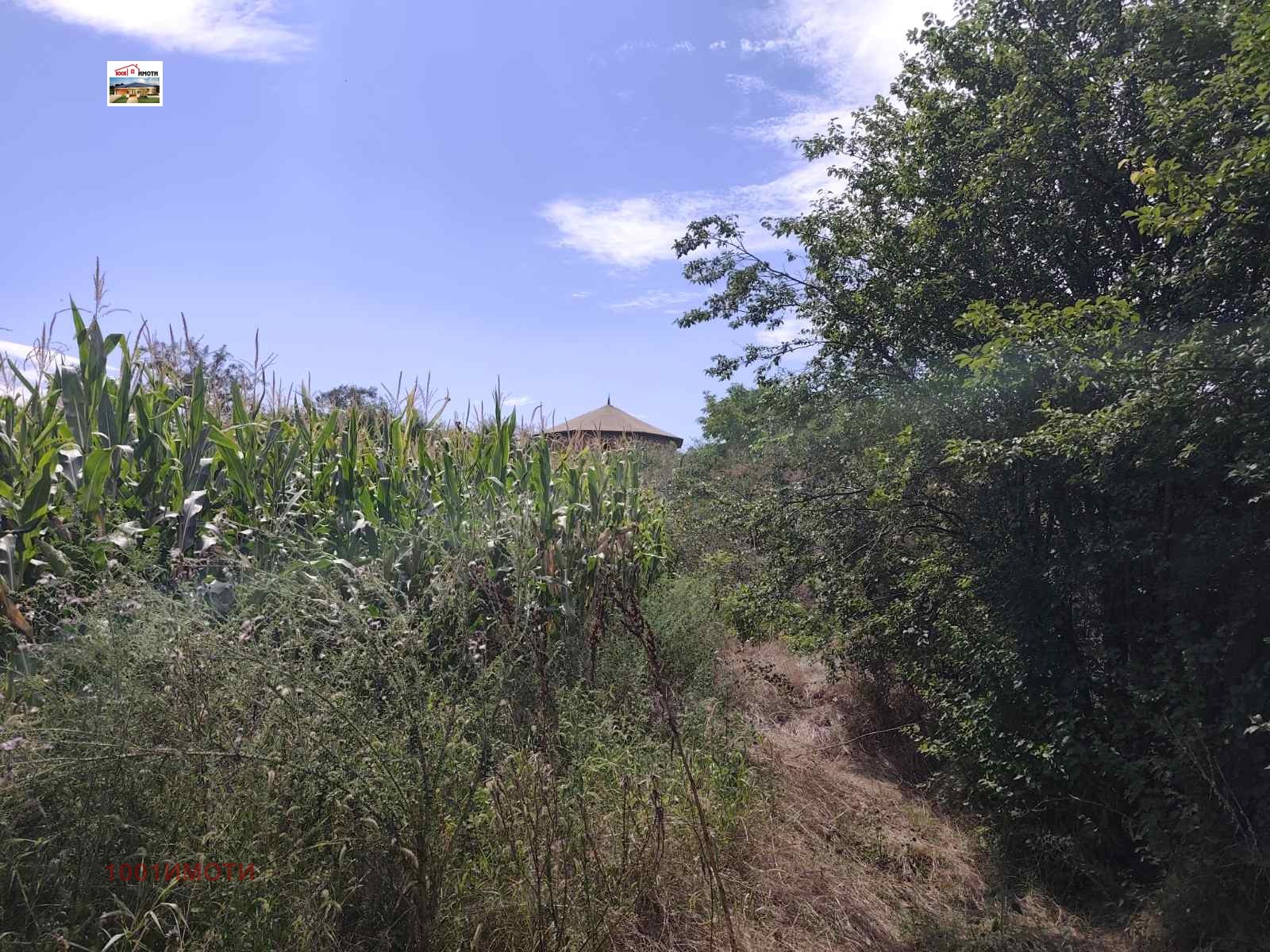 Продава КЪЩА, с. Бенковски, област Добрич, снимка 13 - Къщи - 49013302