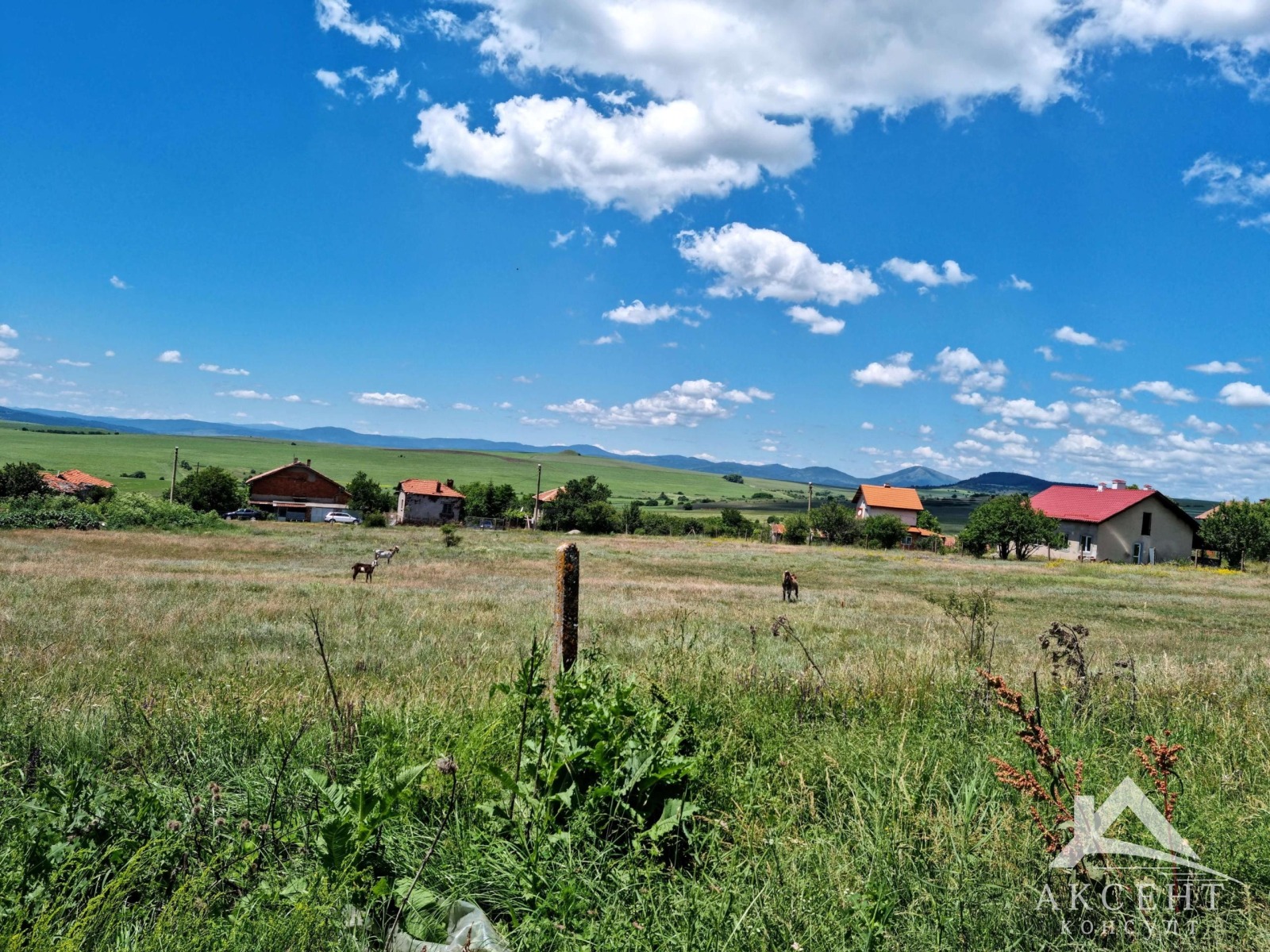 Продава ПАРЦЕЛ, с. Вискяр, област Перник, снимка 7 - Парцели - 56739474