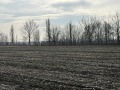 Продава ПАРЦЕЛ, област София, гр. Божурище • 42000 € • 51539899 — Holmes.bg