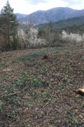 Продава ПАРЦЕЛ, област София, с. Владо Тричков • 36000 € / 70409.88 лв. • 98187880 2