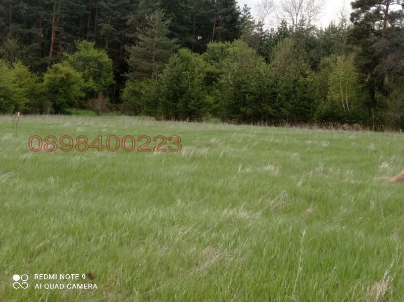 ������� ������ | Imot.bg � ����������� 4