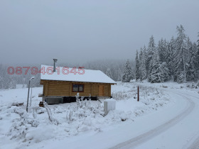 ������� ���� | Imot.bg � ����� ������ 11