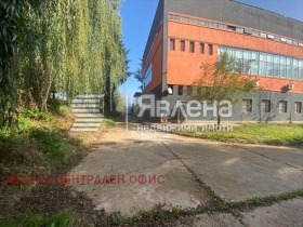 ������ ������� ����. ���������