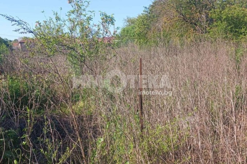 Te koop  Huis regio Dobritsj , Krapets , 1400 m² | 89152460 - afbeelding [6]