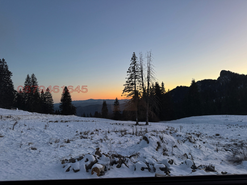 Продава КЪЩА, к.к. Пампорово, област Смолян, снимка 4 - Къщи - 52957162