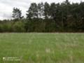 Продава ПАРЦЕЛ, гр. София, м-т яз. Искър, снимка 3