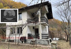 ����� ������� ����,��. �������, ������ ���������