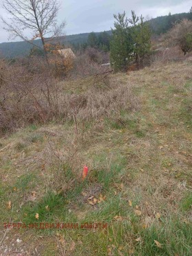 ������� ������ | Imot.bg � ����� ������ 5