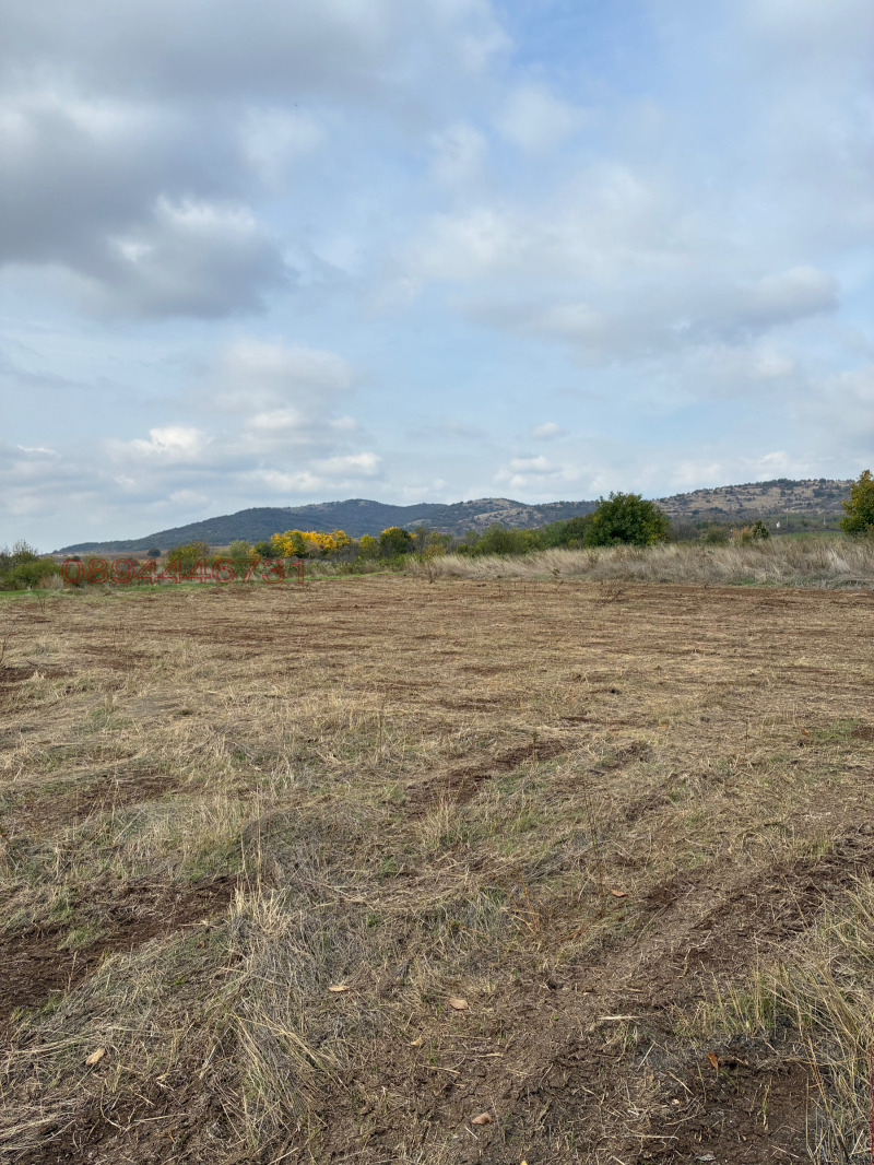 Продава ПАРЦЕЛ, с. Съединение, област Стара Загора, снимка 2 - Парцели - 52784267