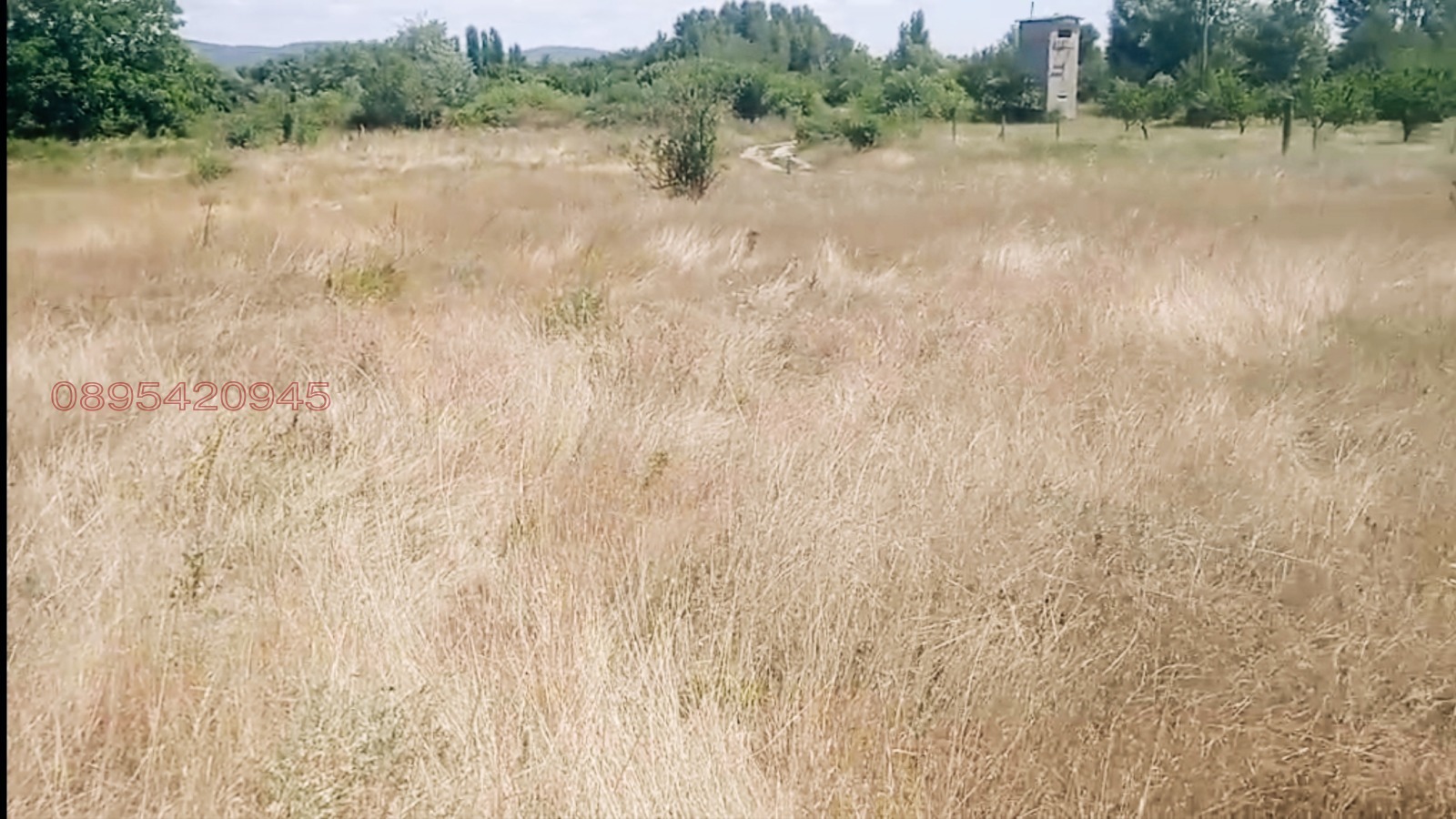 Продава ПРОМ. ПОМЕЩЕНИЕ, с. Виноградец, област Пазарджик, снимка 3 - Производствени сгради - 56061187