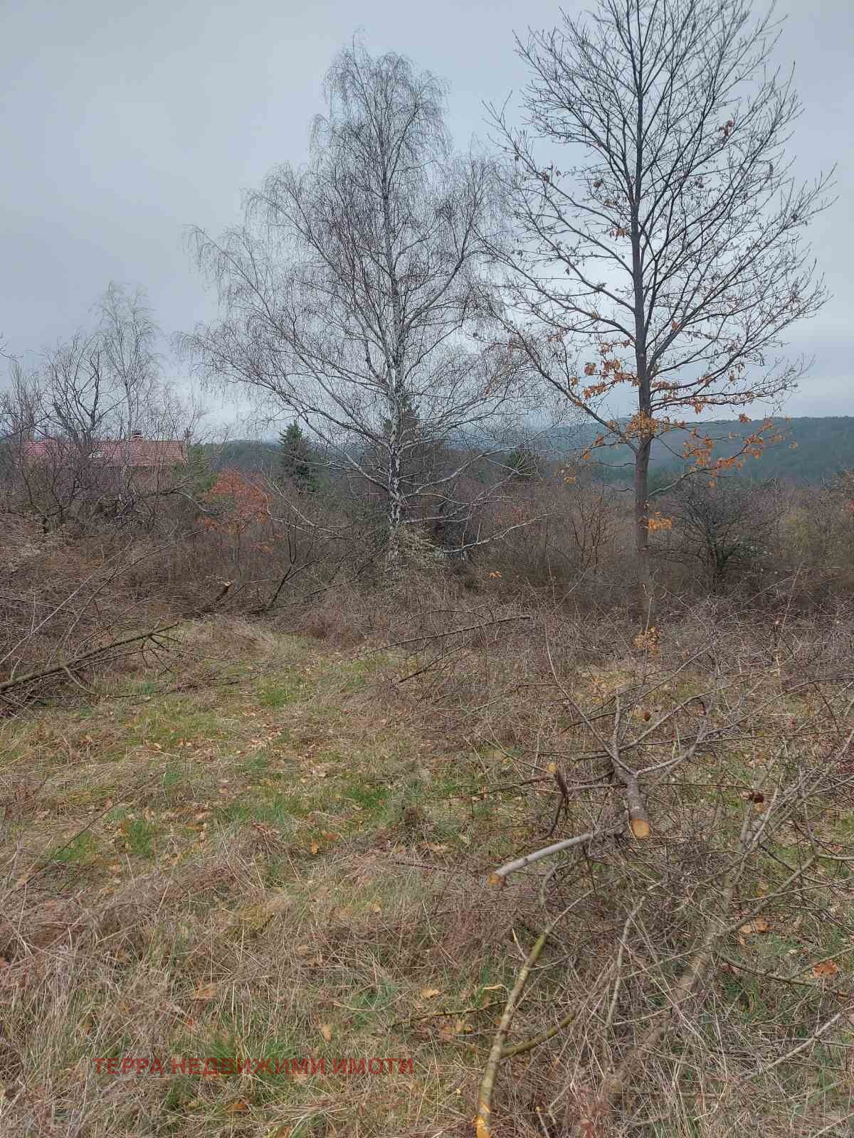 Продава ПАРЦЕЛ, гр. София, с. Подгумер, снимка 6 - Парцели - 54059591