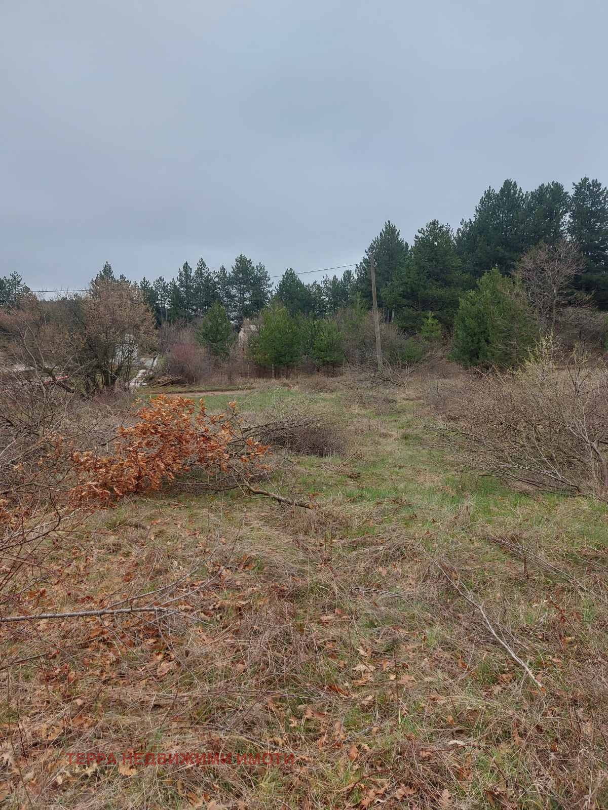 Продава ПАРЦЕЛ, гр. София, с. Подгумер, снимка 9 - Парцели - 54059591