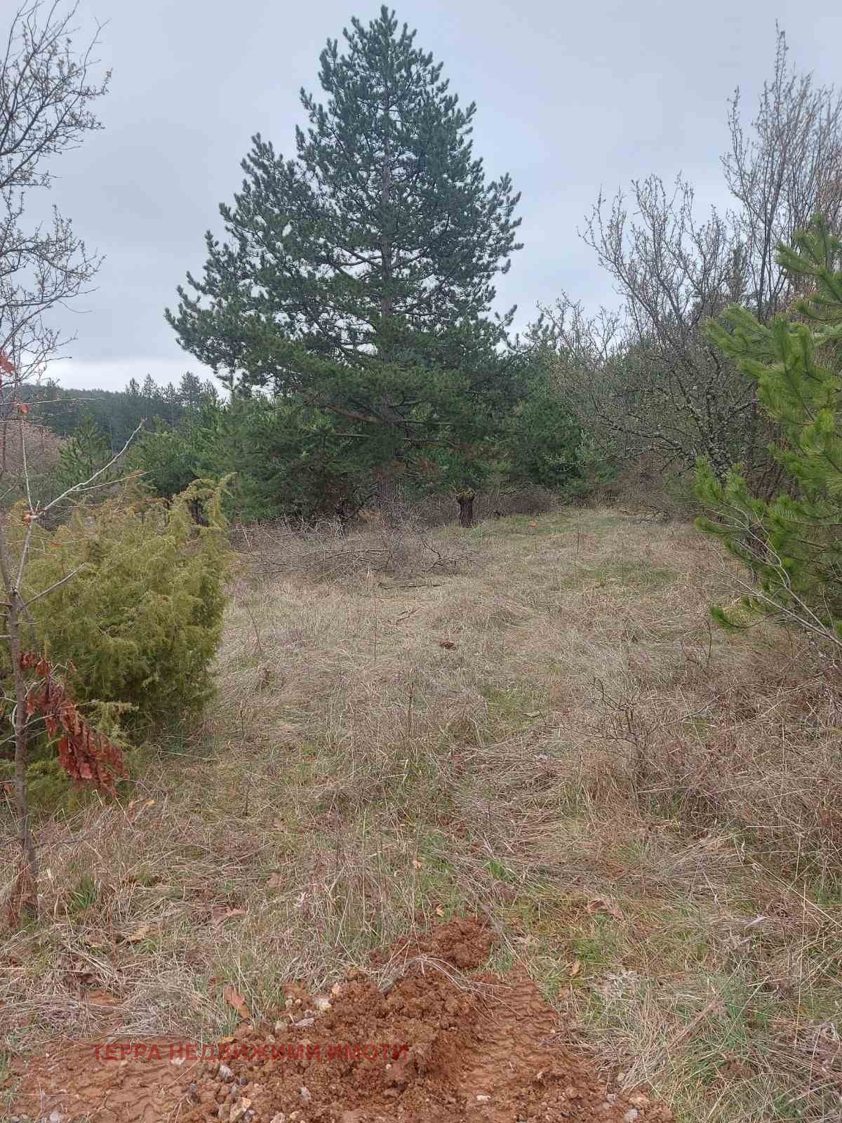 Продава ПАРЦЕЛ, гр. София, с. Подгумер, снимка 3 - Парцели - 54059591