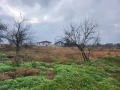 Продава ПАРЦЕЛ, град Варна, м-т Зеленика • 55000 € • 46458273 — Holmes.bg