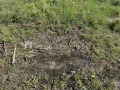 Продава ПАРЦЕЛ, област Пловдив, с. Ягодово • 109900 € • 86195639 — Holmes.bg