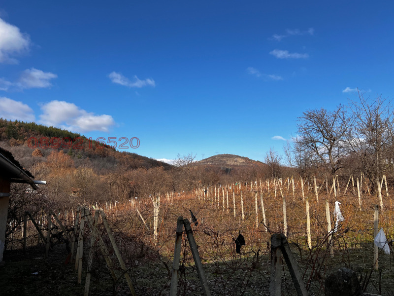 Продава КЪЩА, с. Шатрово, област Кюстендил, снимка 3 - Къщи - 53381709