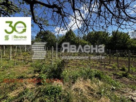 ������� ���� | Imot.bg � ����� ������ 8