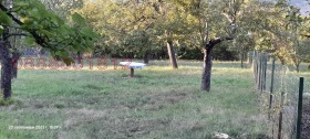 ������� ������ | Imot.bg � ����� ������ 3