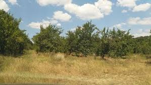 Eladó  Cselekmény régió Burgasz , Ravda , 50000 négyzetméter | 22061623