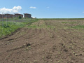 Продава ПАРЦЕЛ, с. Гурмазово, област София област, снимка 2