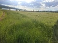 Продава ПАРЦЕЛ, с. Голяма Желязна, област Ловеч, снимка 5