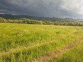 Продава  Парцел област Ловеч , с. Голяма Желязна , 2199 кв.м | 97917599 - изображение [6]